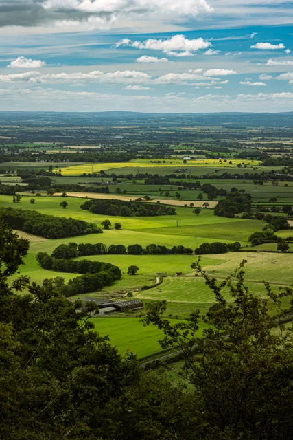 Sunlit patchwork fields stretching into the distance