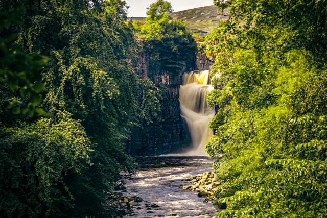 High Force waterfall surrounded by summer woodland